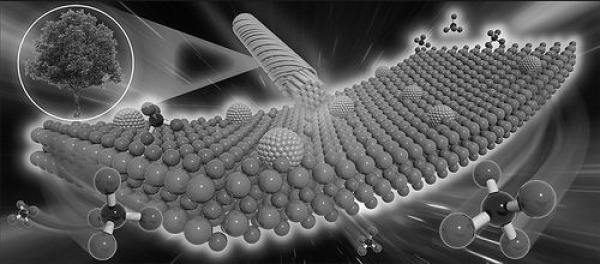 1631154740137564.jpg 6376591241608520708184774.jpg