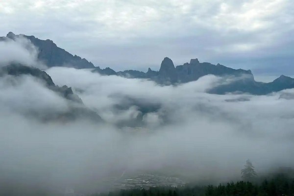 1763448394389605.jpg 圖片2.jpg